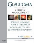 Glaucoma Volume 2: Surgical Management: Expert Consult: Online and Print 
Производитель: 