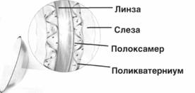 строение линзы