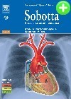 Sobotta. Атлас анатомии человека. Т.2 
Производитель: 